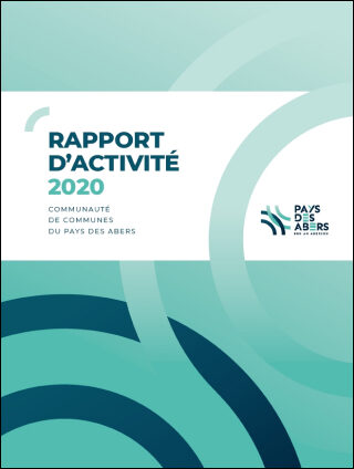 rapport d'activité 2020