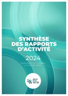 rapport 2024 synthèse