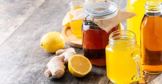 bocaux et fruits pour faire du kombucha